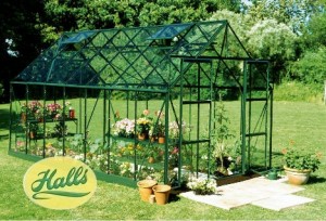 GREEN MAGNUM 14ft x 8ft GREENHOUSE TOUGHENED